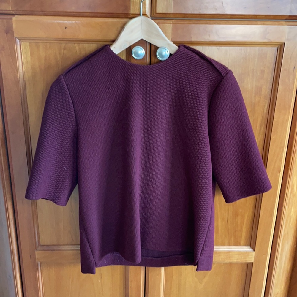 Zara blouse